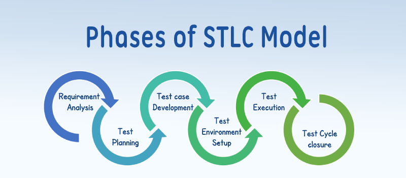 Phases of STLC Model
